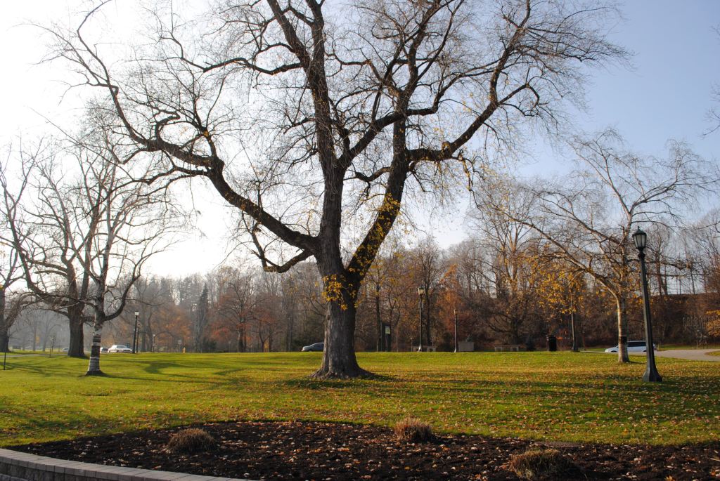 Experimenting with my new toy