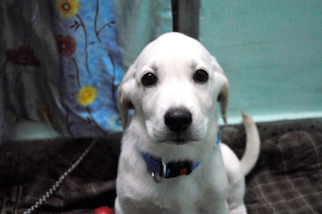 Aint that the cutest look