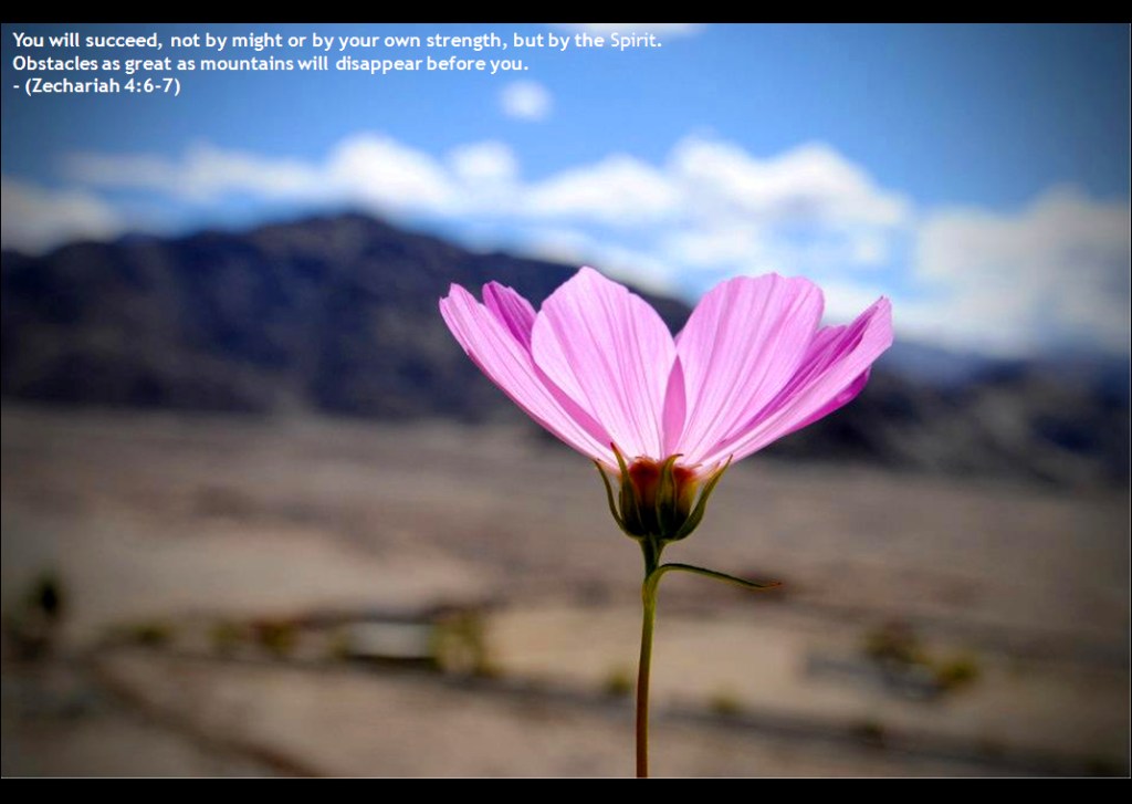 Undying spirit of womanhood